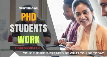 Working While Studying: International PhD Students' Guide