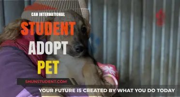 International Students: Can You Adopt a Pet?