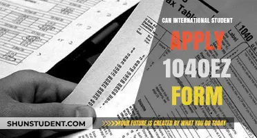 International Students: Can You File a 1040EZ Form?