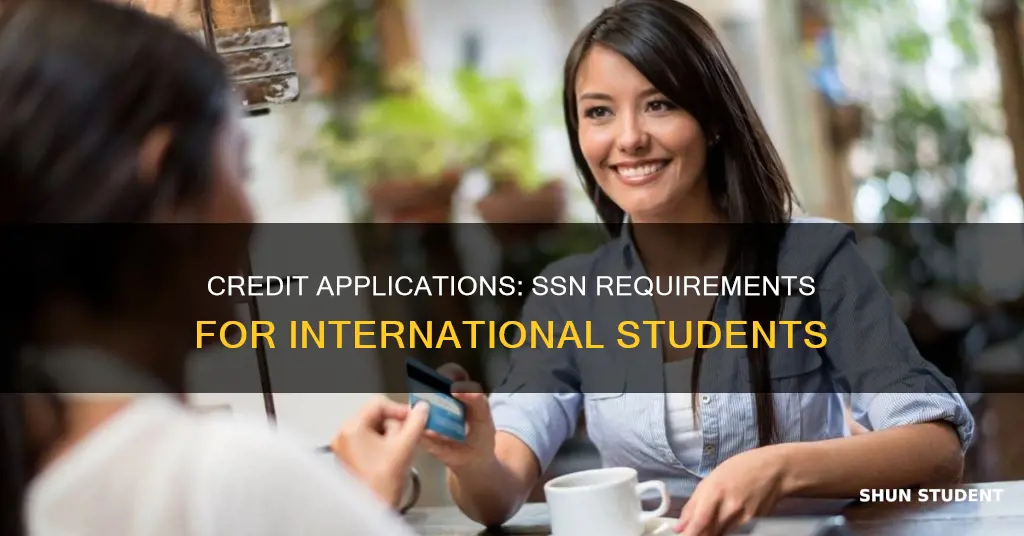 can international student apply credit without ssn