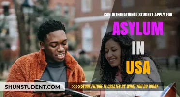 Asylum Options for International Students in the USA
