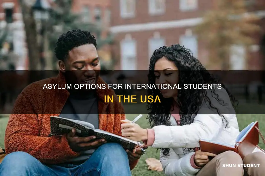 can international student apply for asylum in usa