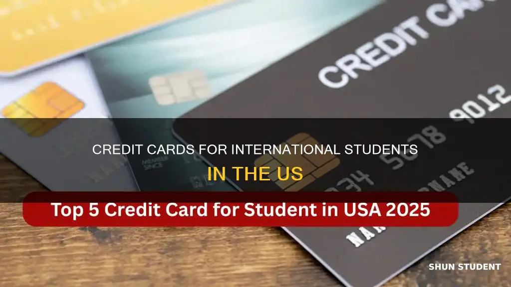 can international student apply for credit card in us