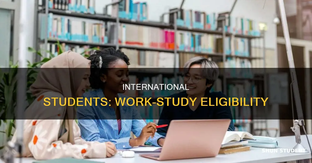 can international student apply for federal work study program