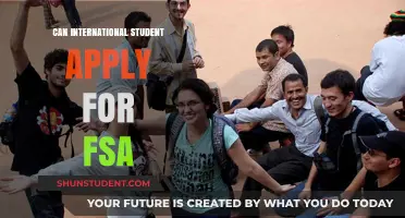 International Students: Are You Eligible for the FSA?