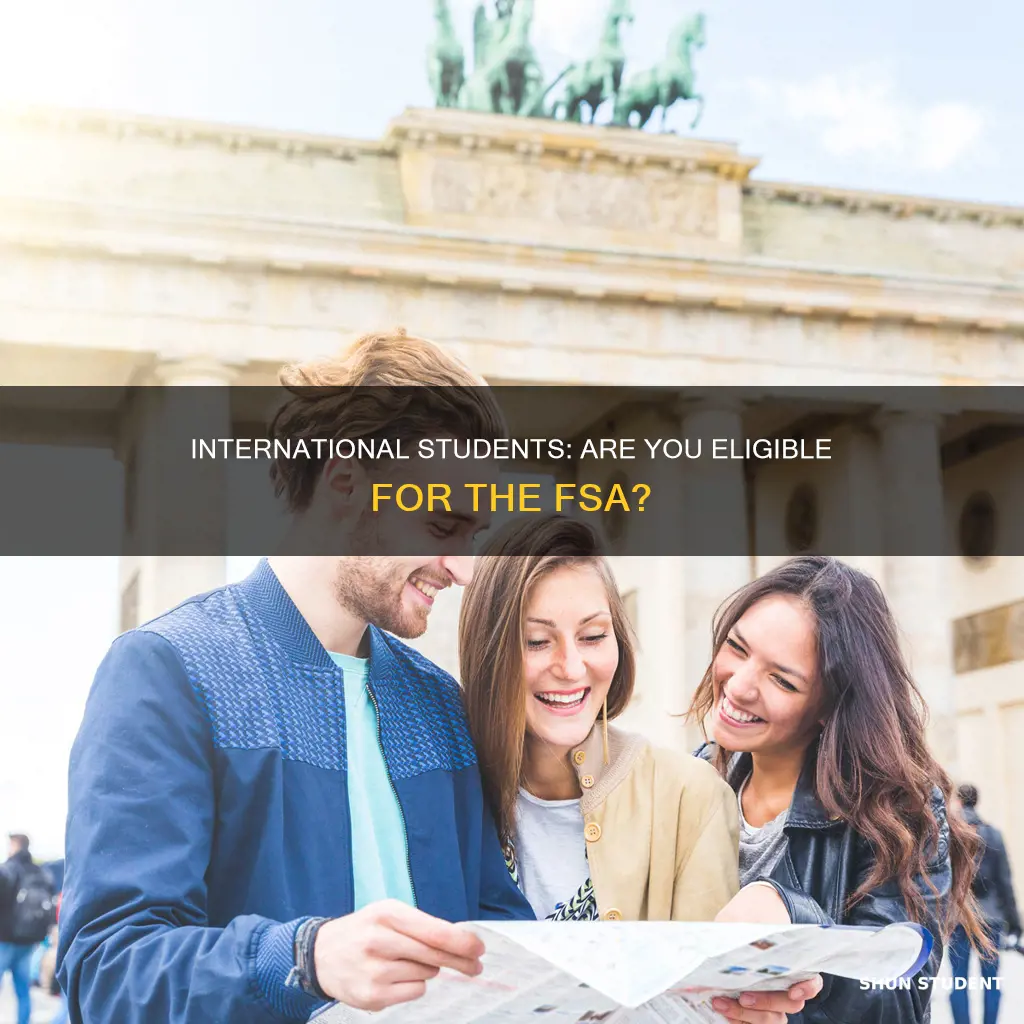 can international student apply for fsa