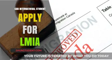 International Students: LMIA Application Options