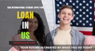 International Students: Borrowing Loans in the US