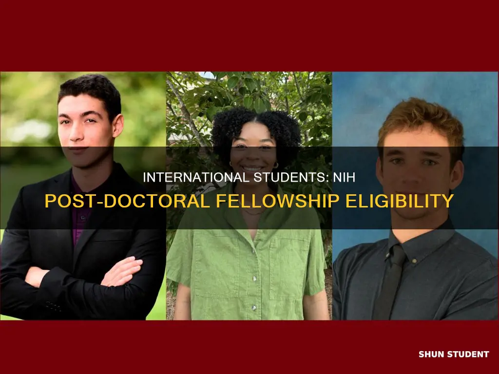 can international student apply for nih post doctoral fellowship