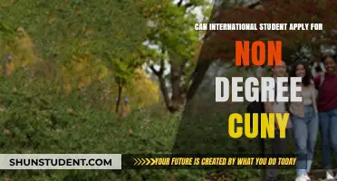 International Students: Accessing Non-Degree Programs at CUNY