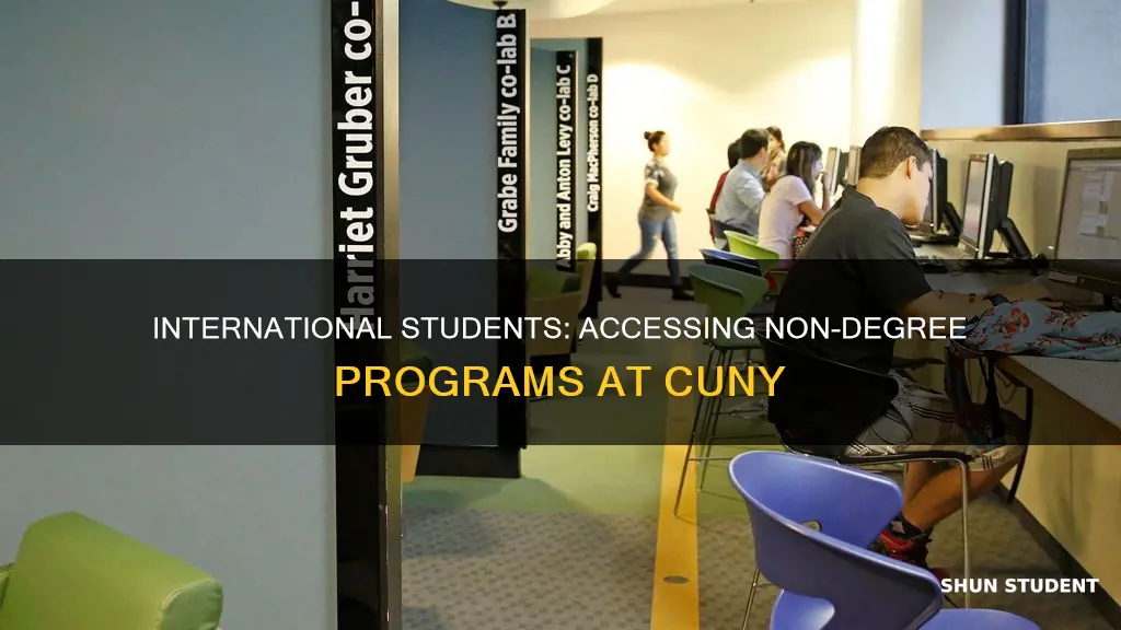 can international student apply for non degree cuny