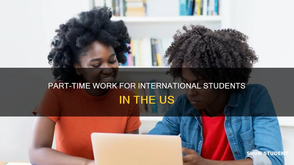 can international student apply for part time job in usa