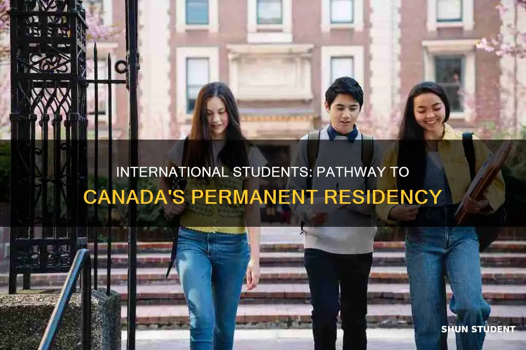 can international student apply for permanent residency in canada