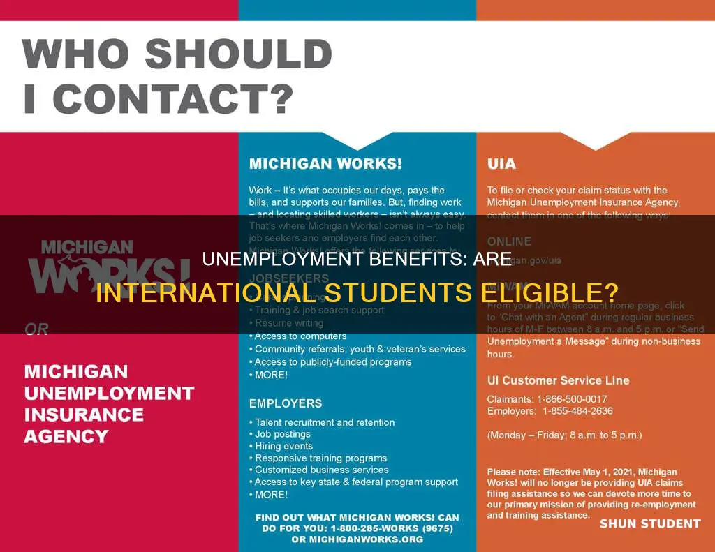 can international student apply for unemployment