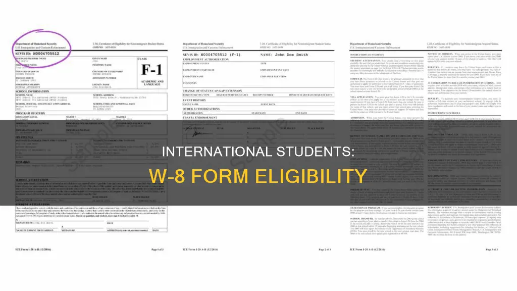 can international student apply for w-8 form
