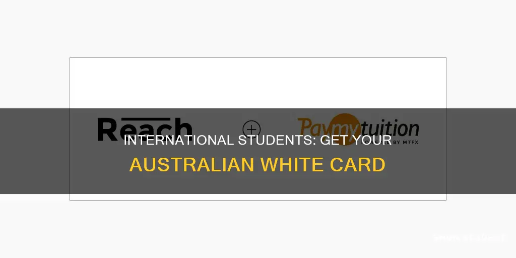can international student apply for white card in australia
