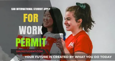Work Permits: International Students' Guide