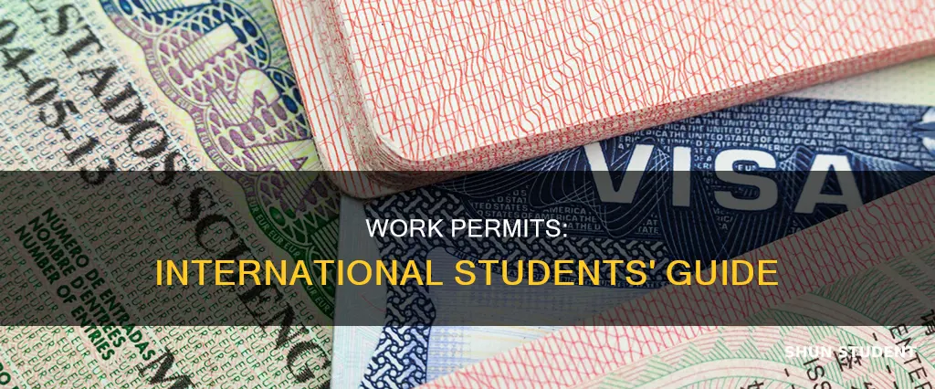 can international student apply for work permit