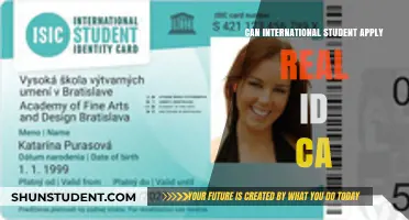 International Students: Can You Get a California Real ID?