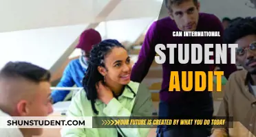 Explore International Student Opportunities with Auditing
