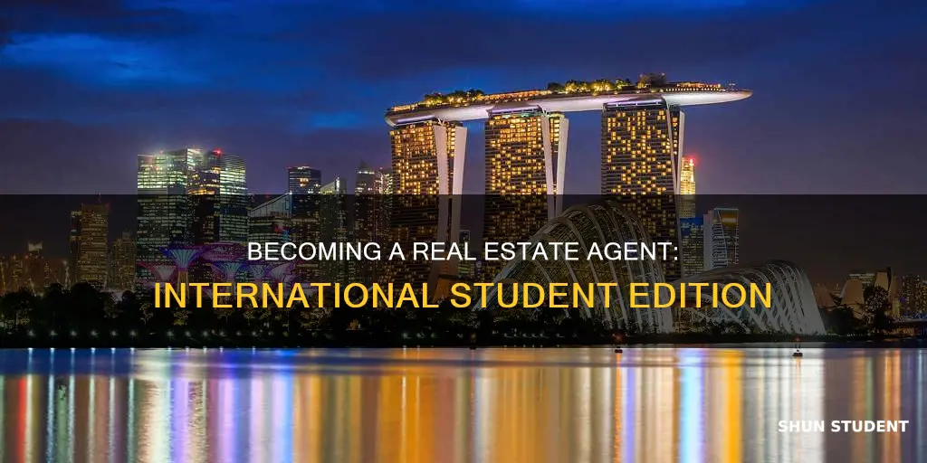 can international student be a real estate agent