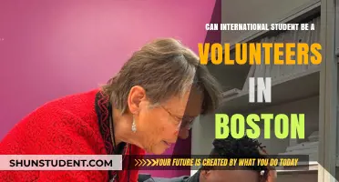 Volunteering in Boston: Opportunities for International Students