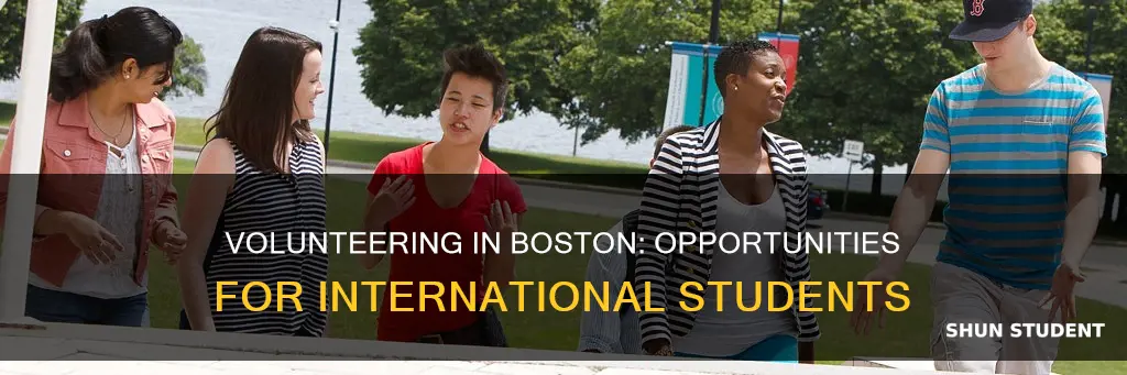 can international student be a volunteers in boston