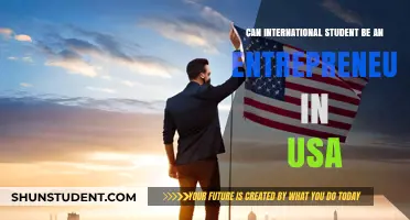 Entrepreneurship for International Students in the USA
