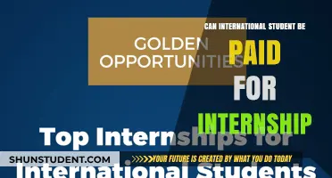 Paid Internships: What International Students Need to Know