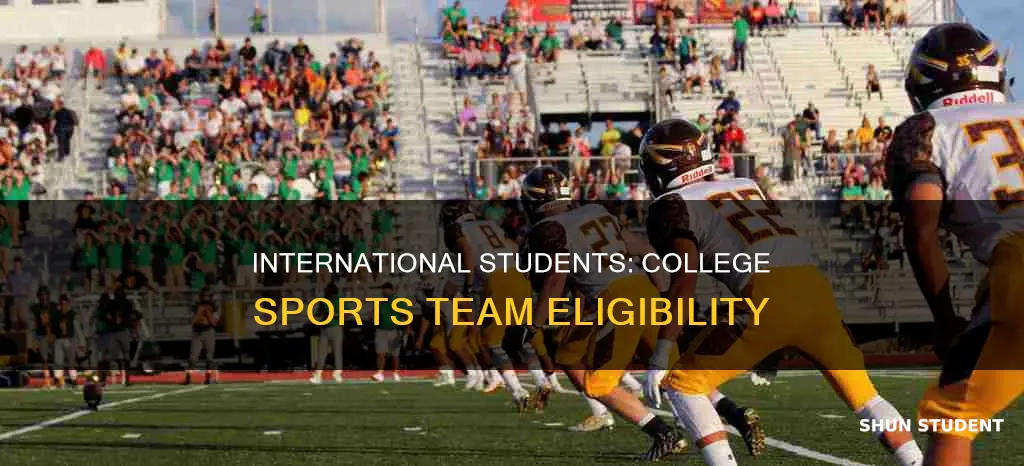 can international student be part of college ports team