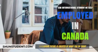 International Students in Canada: Self-Employment Explored