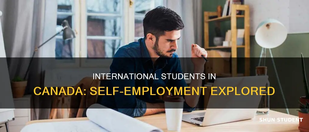 can international student be self employed in canada