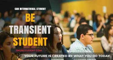 International Students: Transient or Permanent?