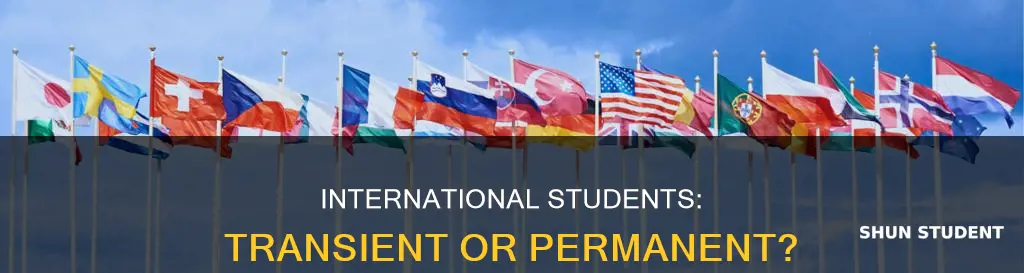 can international student be transient student