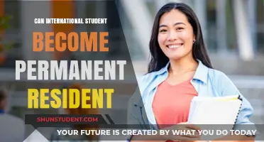 How International Students Can Secure Permanent Residency