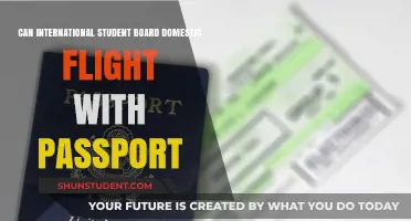 Passport Rules for International Students on Domestic Flights