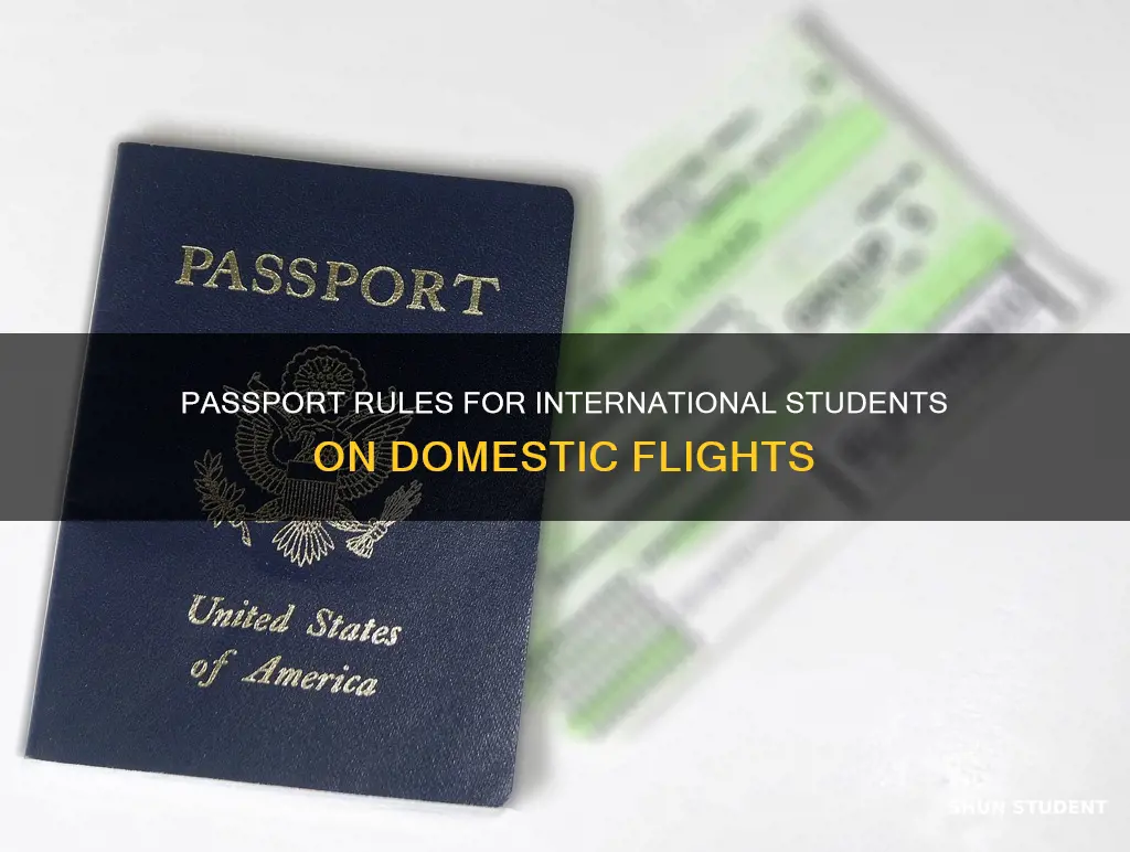 can international student board domestic flight with passport
