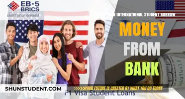International Students: Borrowing Money from Banks