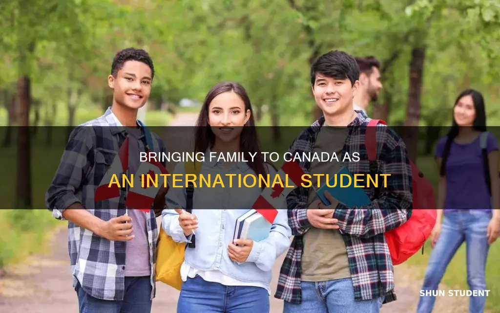 can international student bring family to canada