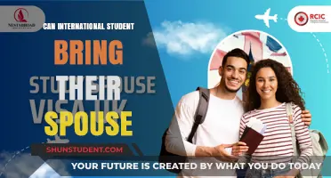 Bringing Spouses: International Students' Rights
