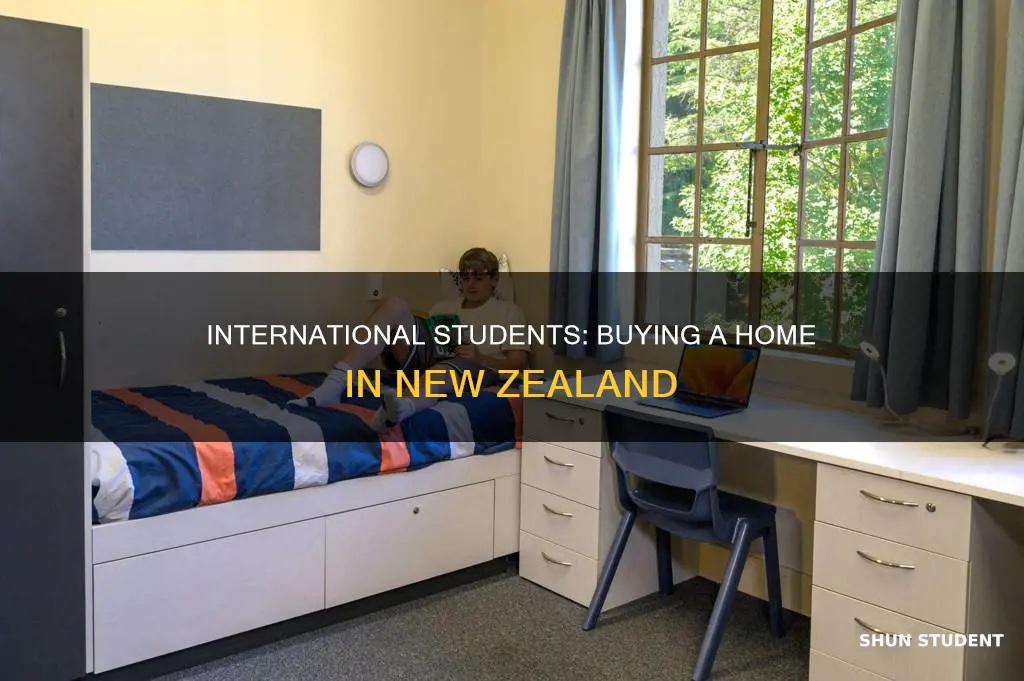 can international student buy house in new zealand