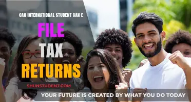 E-Filing Taxes: International Students' Guide to Returns