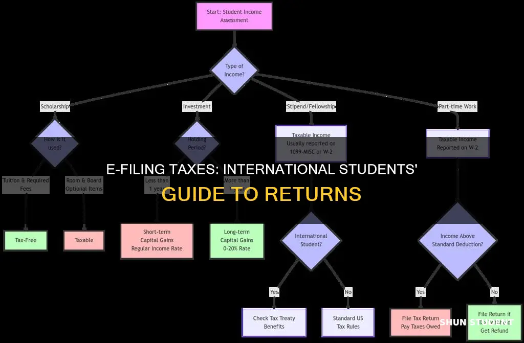 can international student can e file tax returns