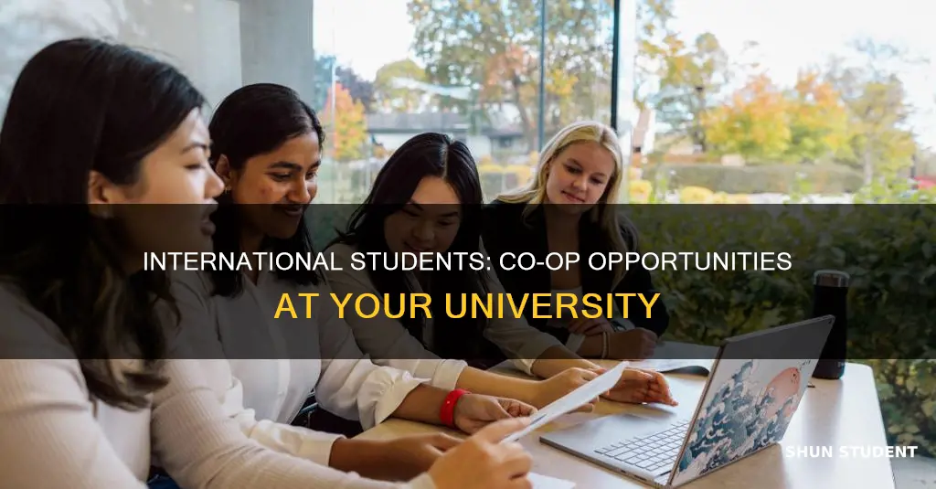 can international student do coop under the university name