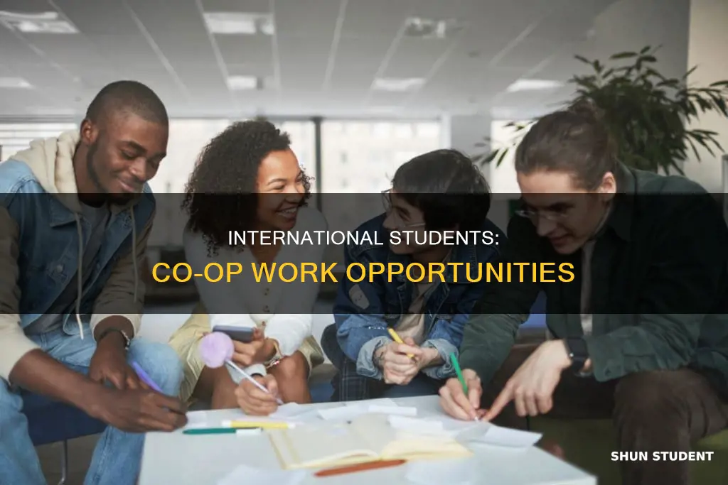 can international student do coop under the university name