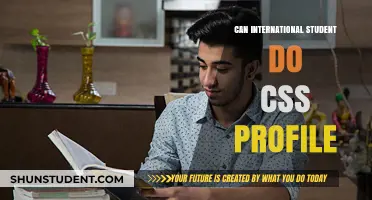 International Students: CSS Profile Eligibility and Requirements