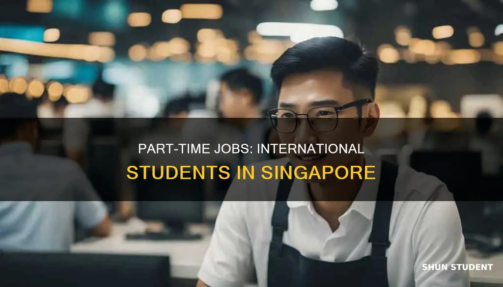 can international student do part time job in singapore