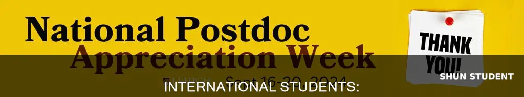 can international student do postdoc on opt