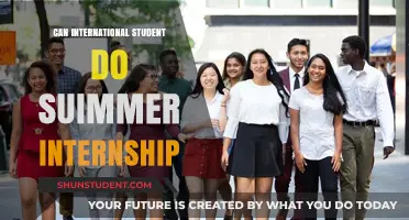 International Students: Summer Internship Possibilities