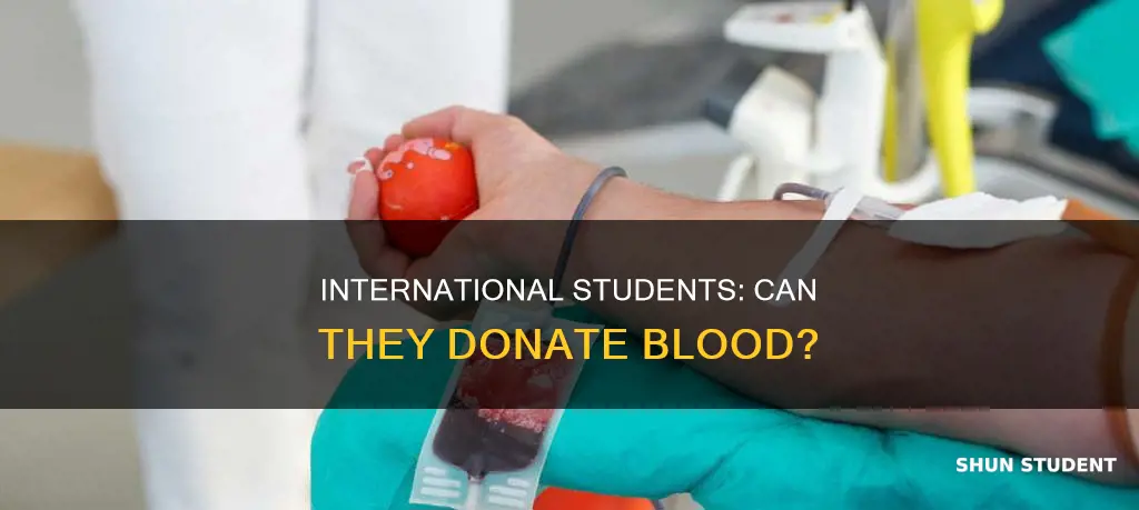 can international student donate blood